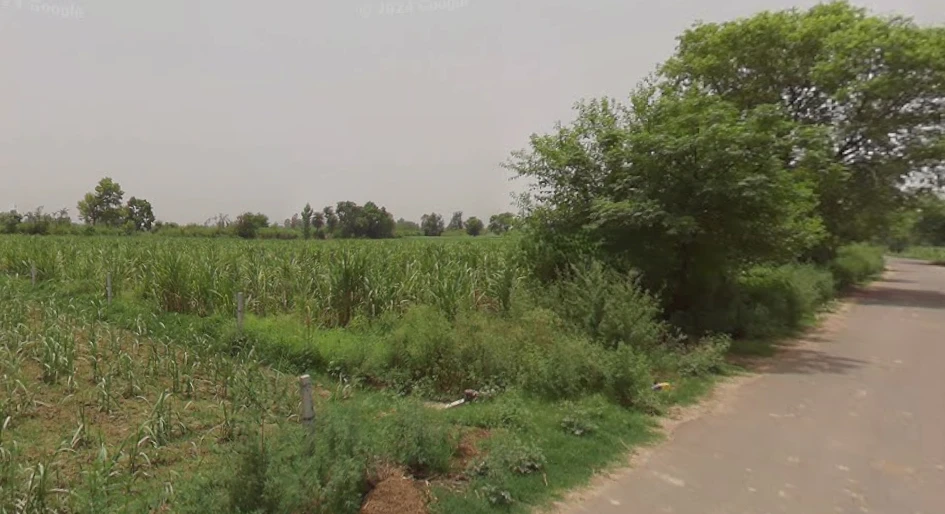 Sandhan, Uttar Pradesh, India