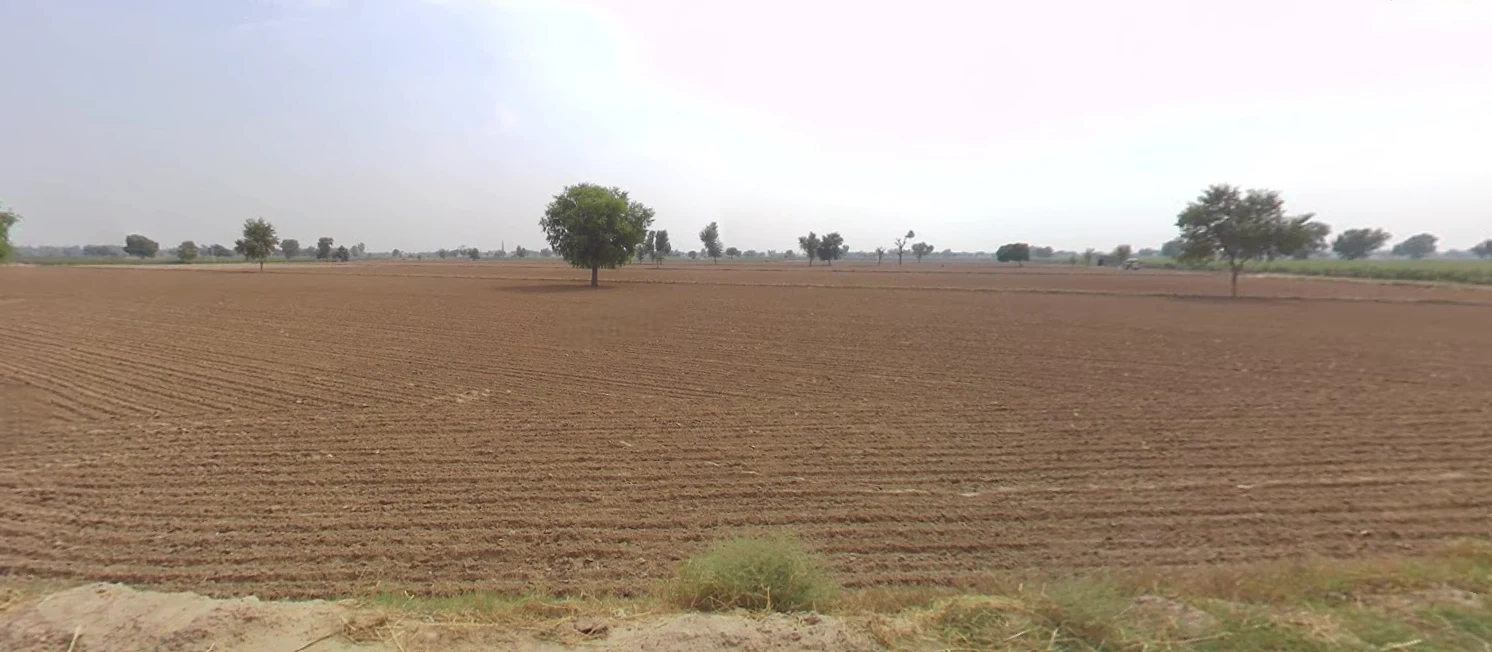 Neemla, Haryana 125102, India