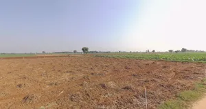 Khadpipli, Gujarat, India preview 2