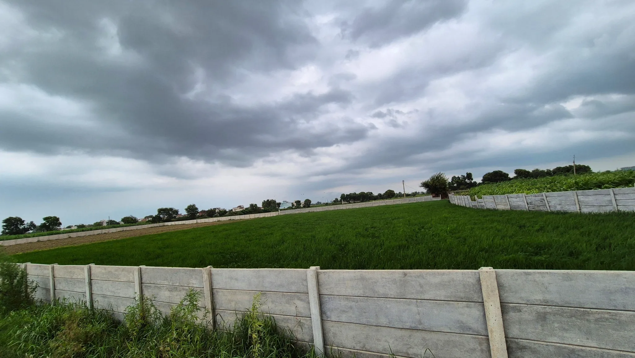 PJ8C+RR6, Partapur, Uttar Pradesh 245304, India