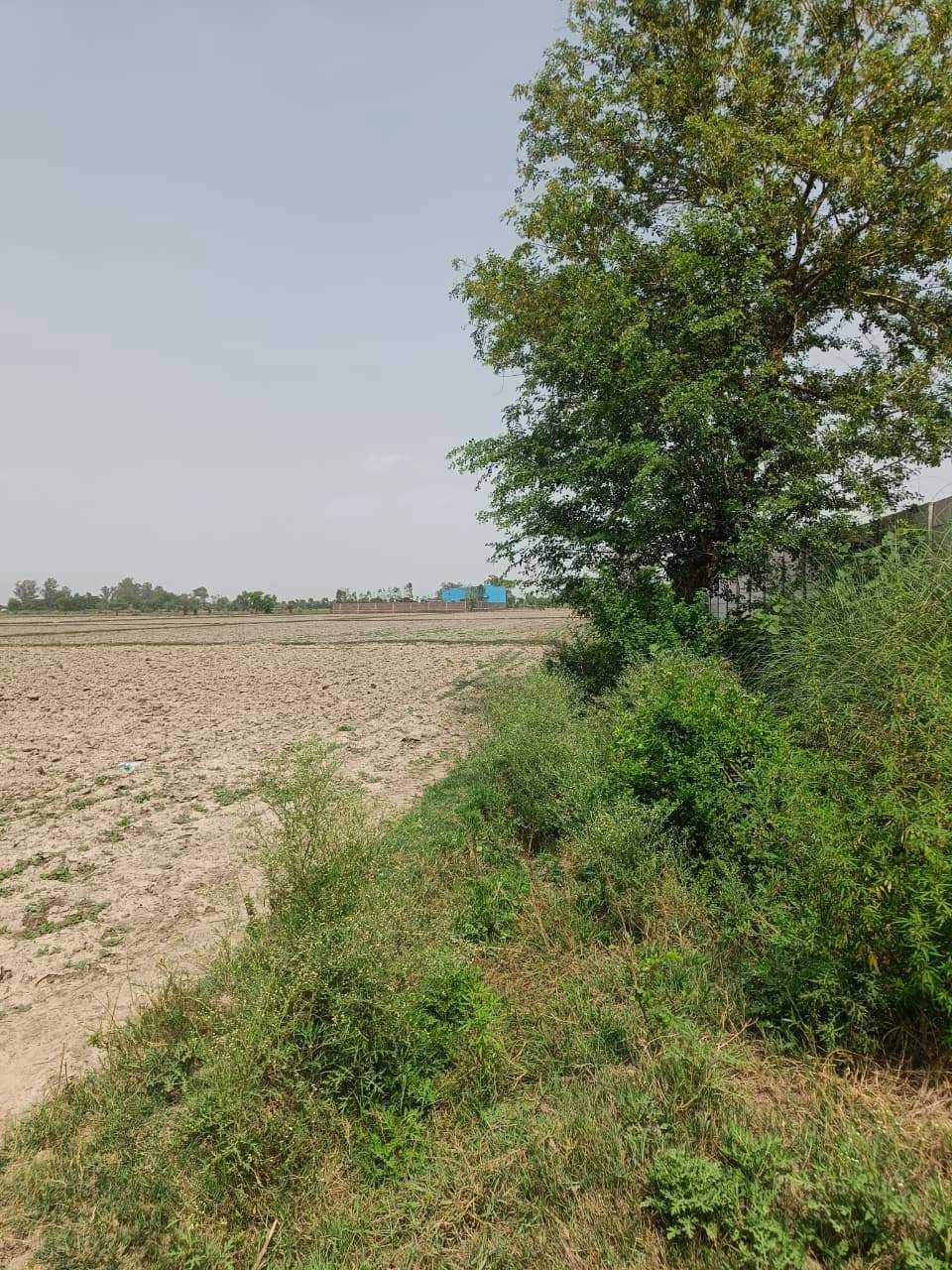 Merta, Rajasthan 341510, India