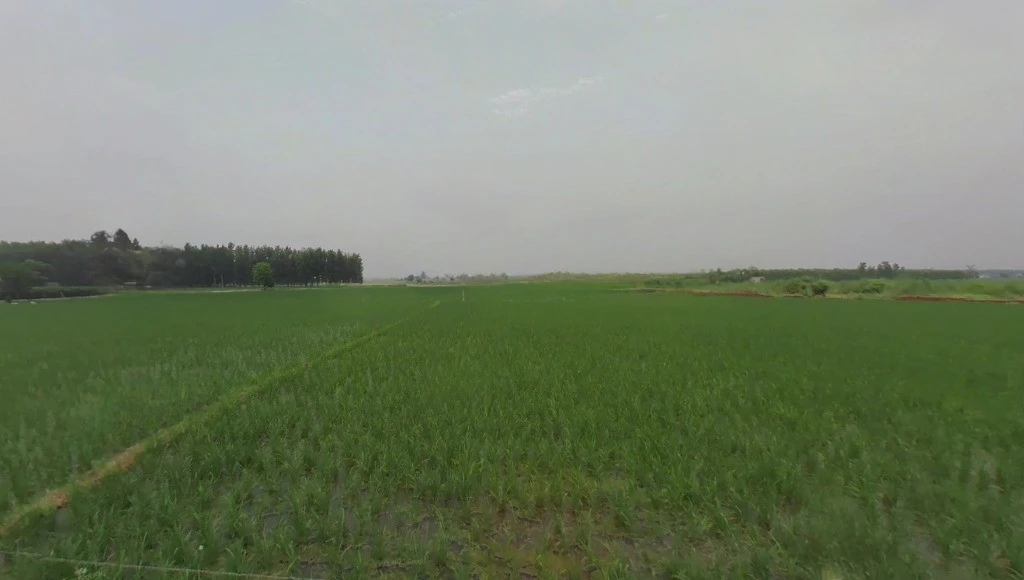 Kosa, Chhattisgarh, India