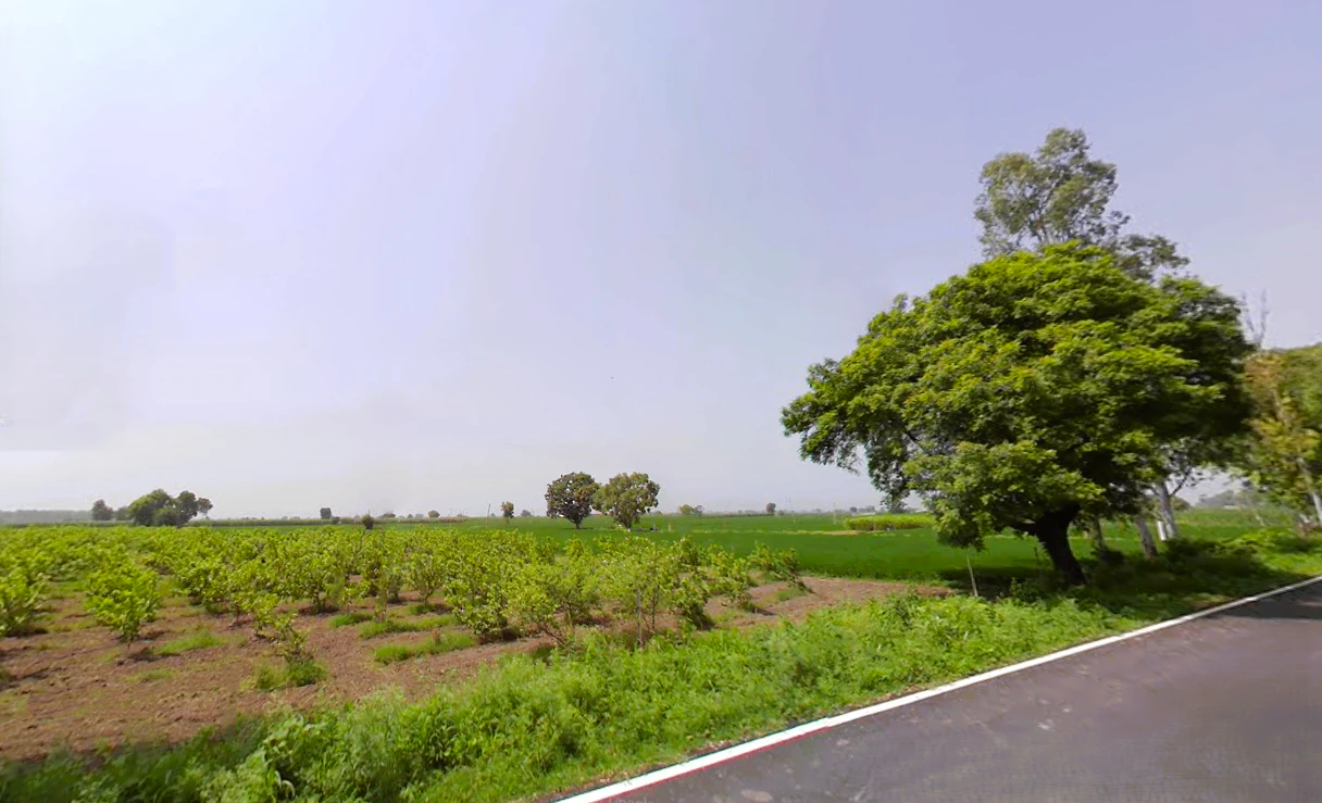 Jorasi, Haryana 132101, India