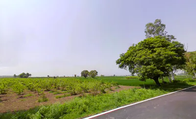 Jorasi, Haryana 132101, India preview 3