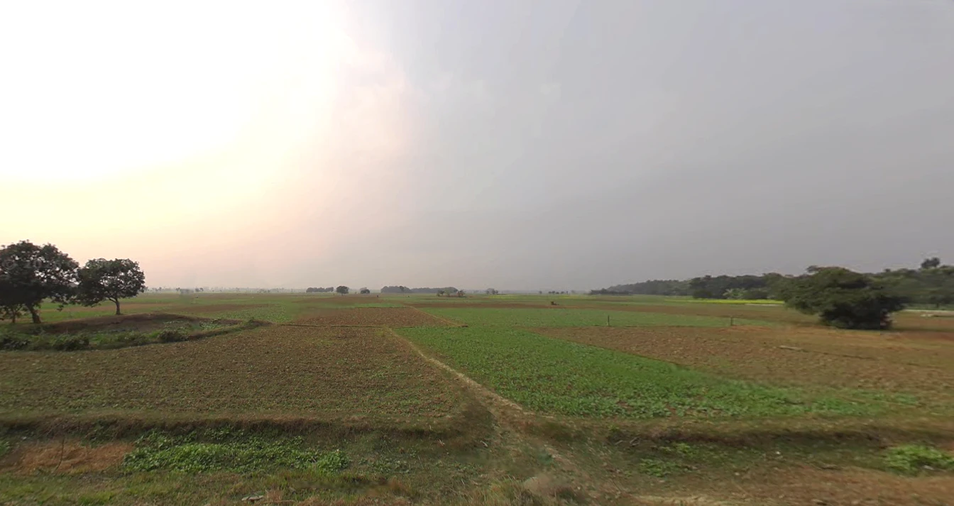 Plassey, West Bengal 741156, India