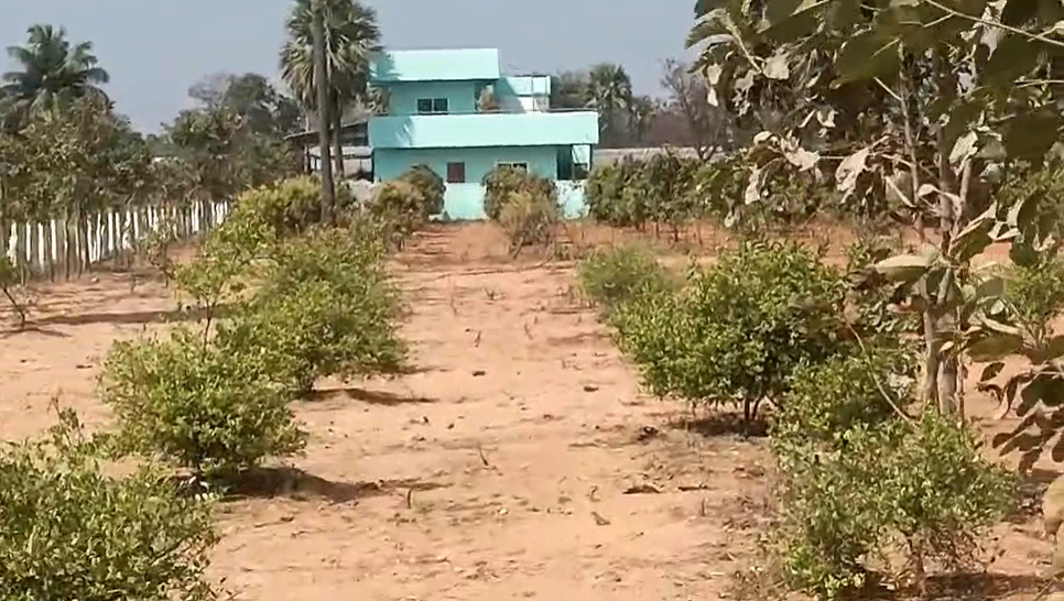 QG2M+FJ Veldanda, Telangana, India