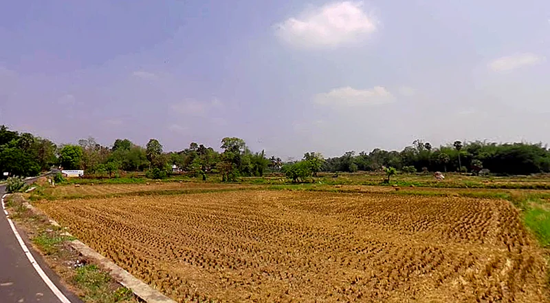 Nallepilly, Kerala 678553, India preview 2