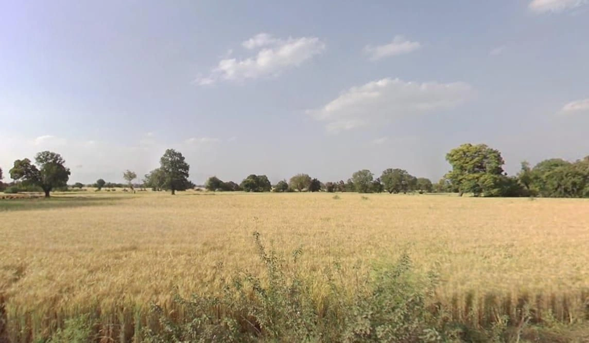 Kurawar, Madhya Pradesh 465667, India