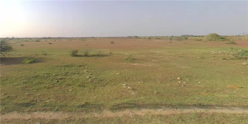 Dhari, Gujarat 365640, India
