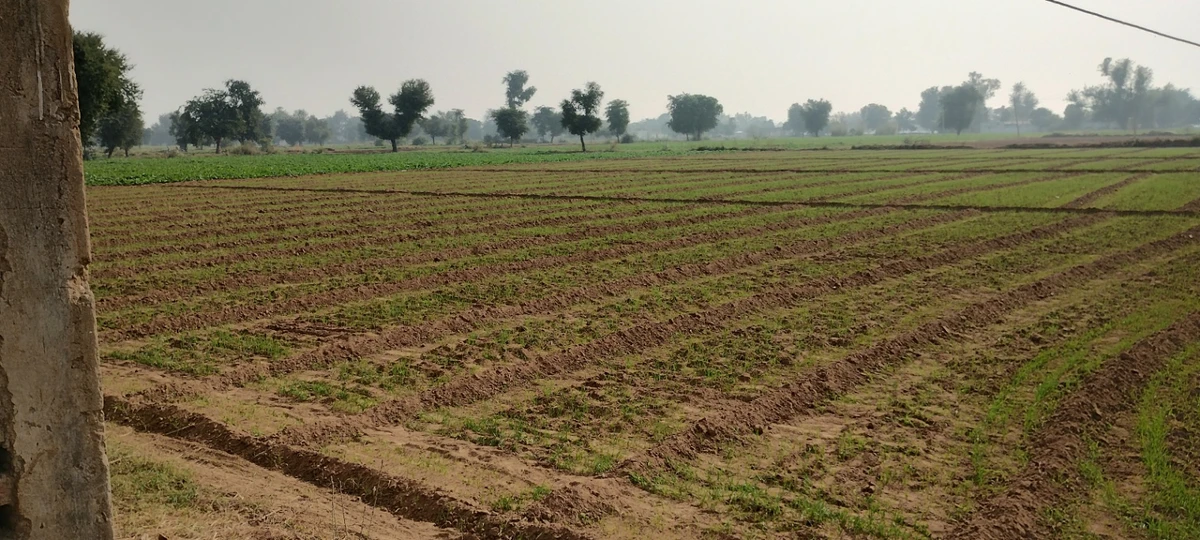 Seetal, Rajasthan 301021, India