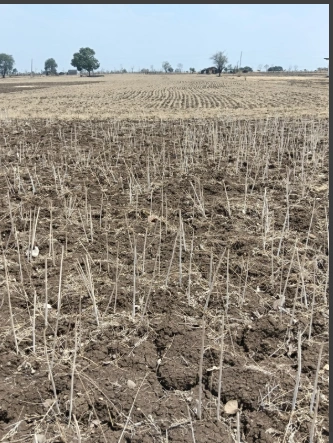XRXP+J72, Barodiya Khan, Madhya Pradesh 453551, India preview 2