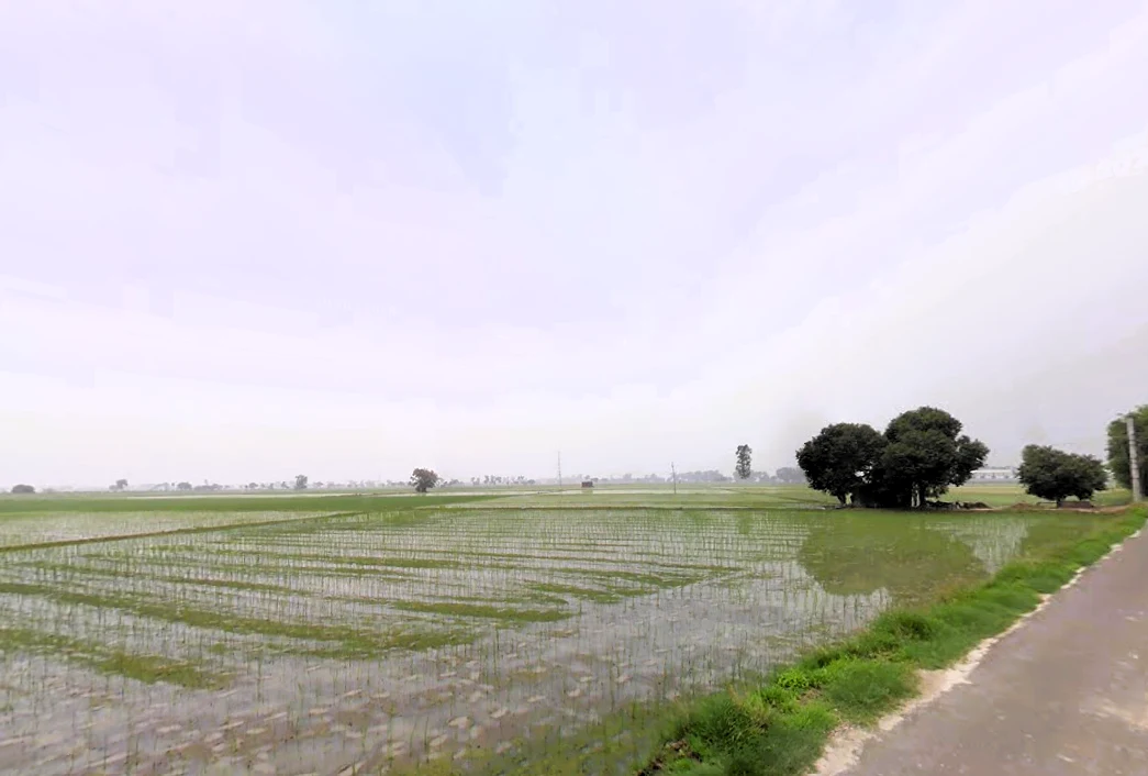 Madlauda, Haryana 132113, India