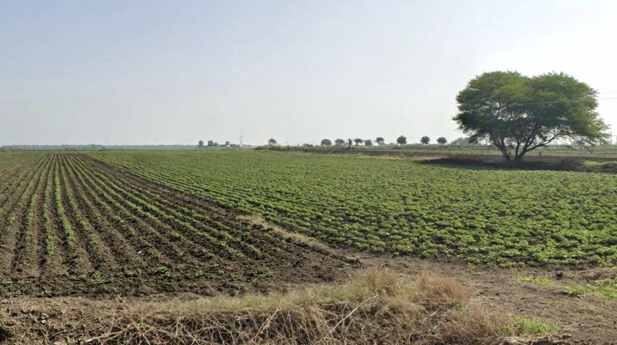 RWCQ+J59, Indore, Madhya Pradesh, India