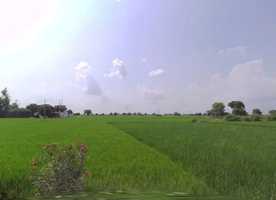 Buttar, Punjab 142040, India