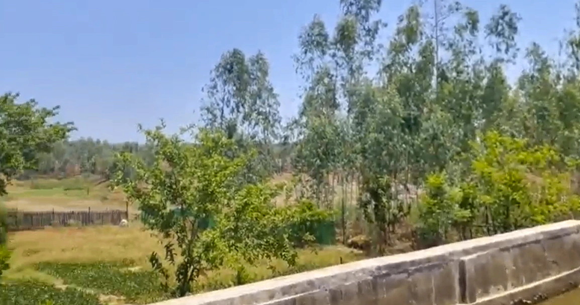 Umariya, Madhya Pradesh 483773, India