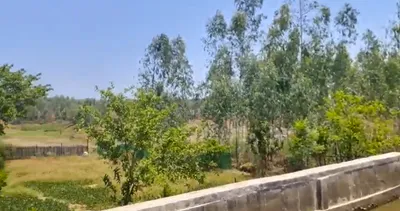 Umariya, Madhya Pradesh 483773, India preview 2
