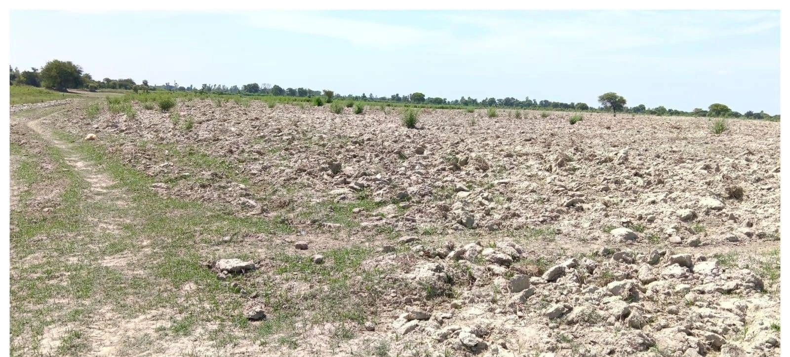 P5WV+8V Achari Ka Sagra, Uttar Pradesh, India