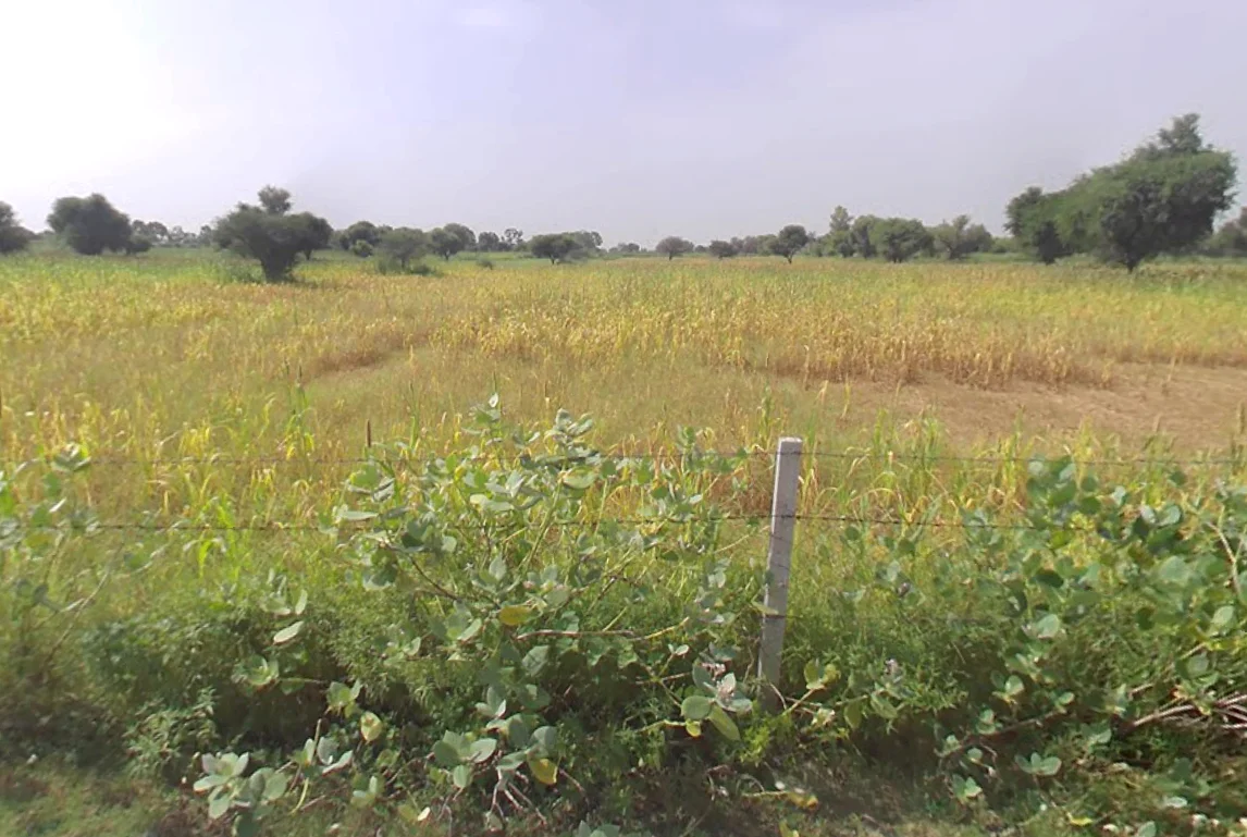 Mahlan, Rajasthan 303007, India preview 3