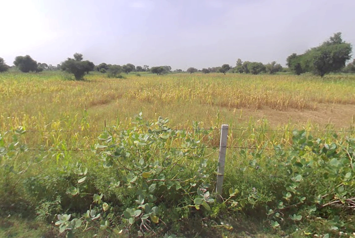 Mahlan, Rajasthan 303007, India