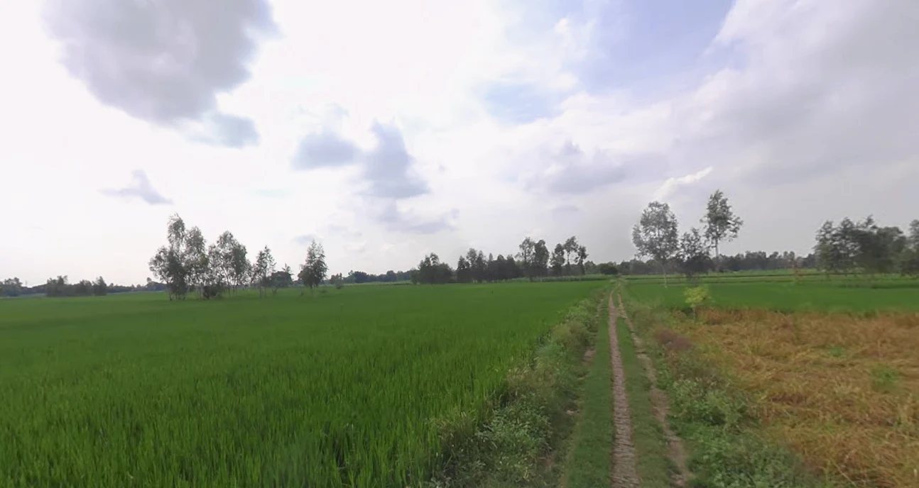 Mohanlalganj, Uttar Pradesh 226301, India preview 2