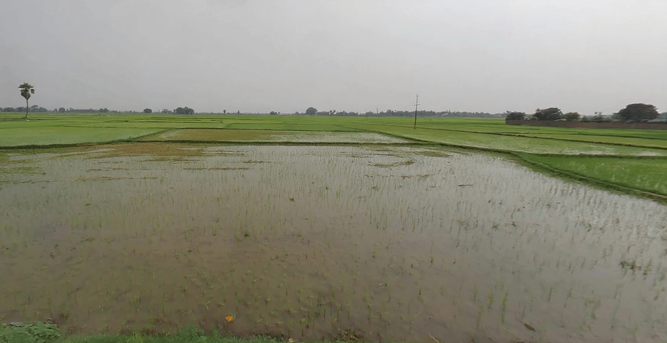 Sarmera, Bihar 811104, India