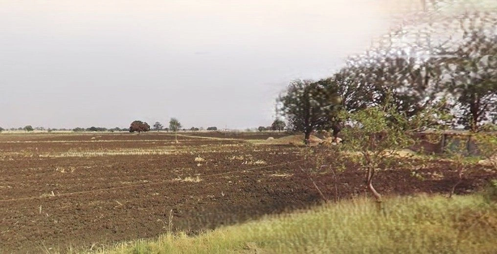 Agar, Madhya Pradesh 465441, India