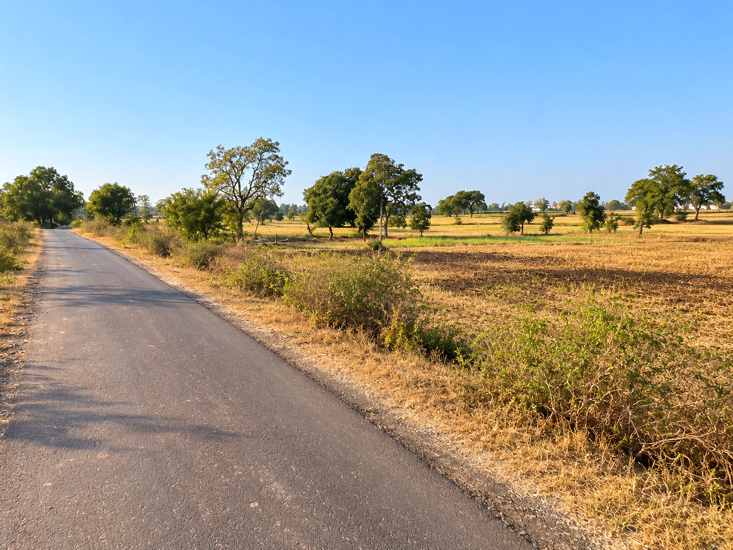 Binaya, Madhya Pradesh 465118, India