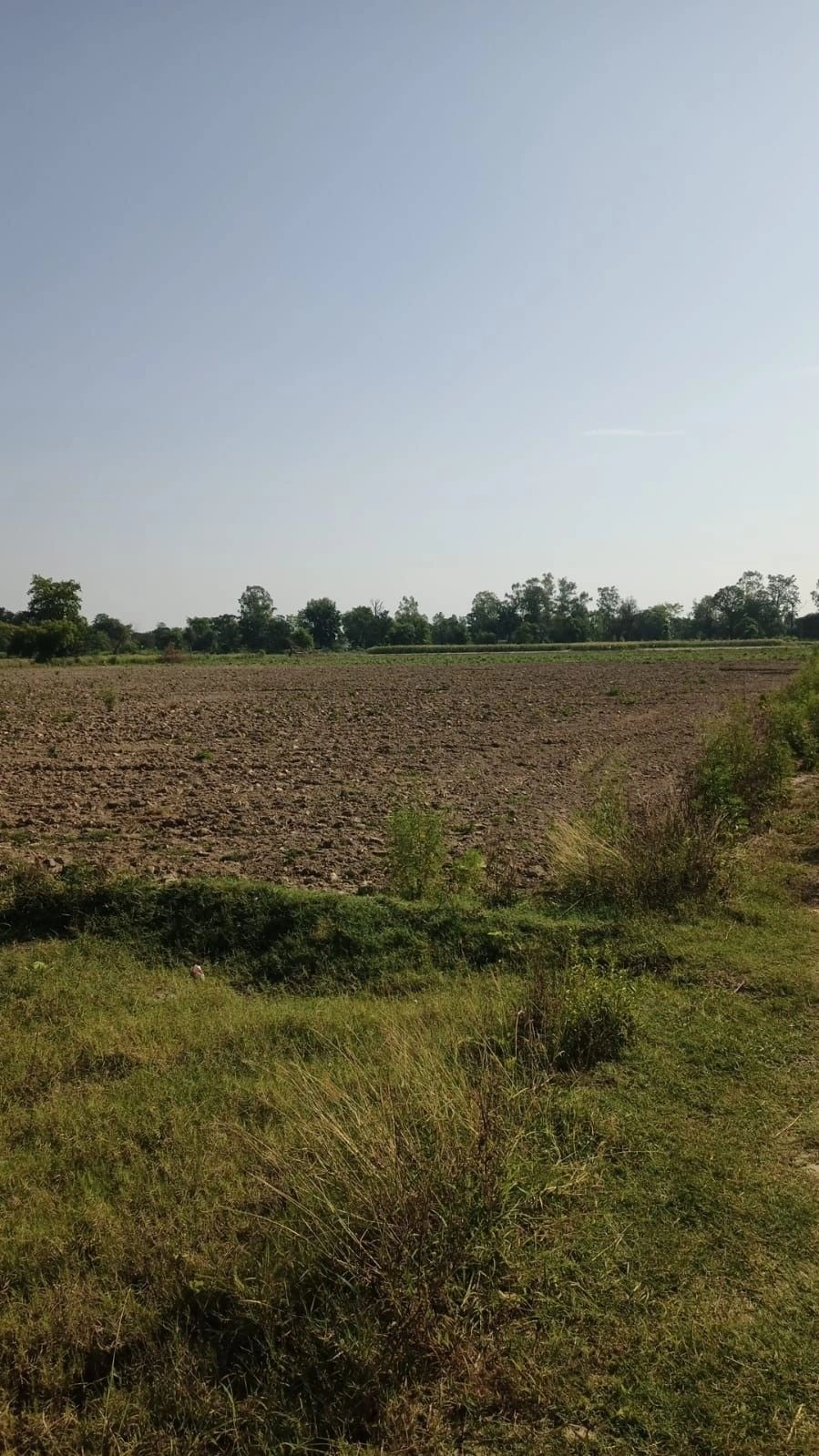 9FPP+X5, Motipur, Uttar Pradesh 201312, India