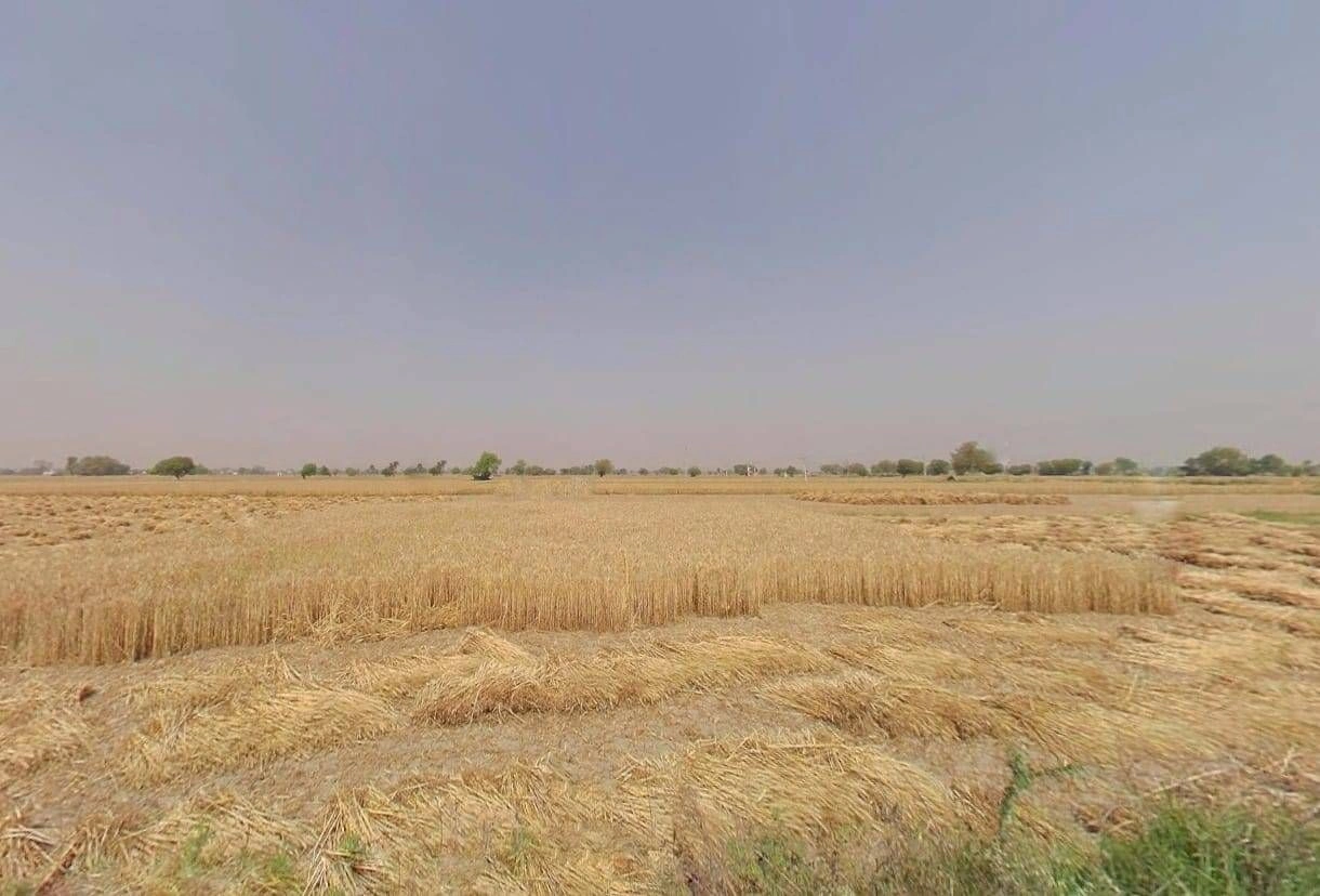 JM89+P57, Basatpur, Uttar Pradesh 245301, India