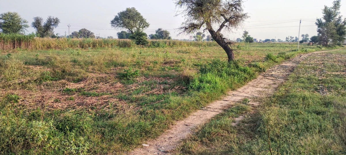 Jugrawar, Rajasthan, India