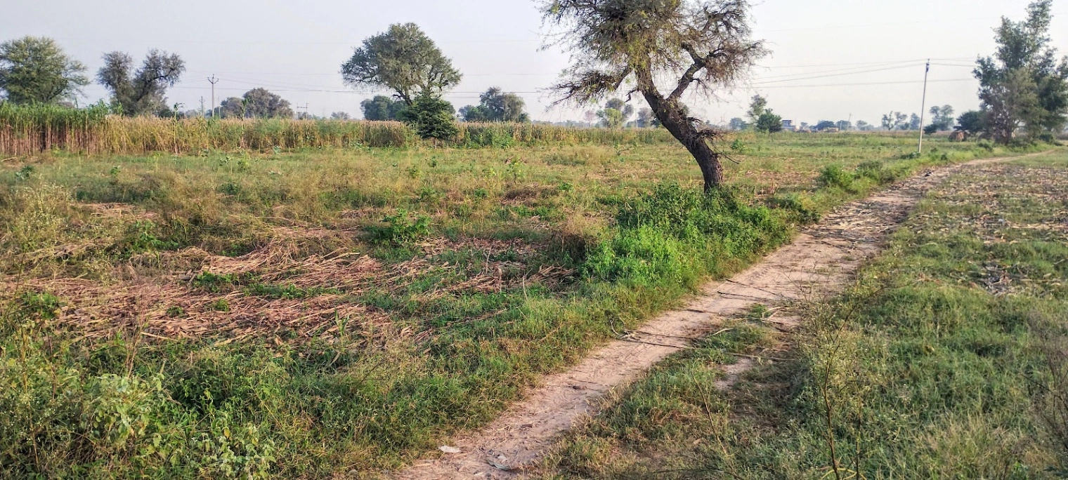 Jugrawar, Rajasthan, India