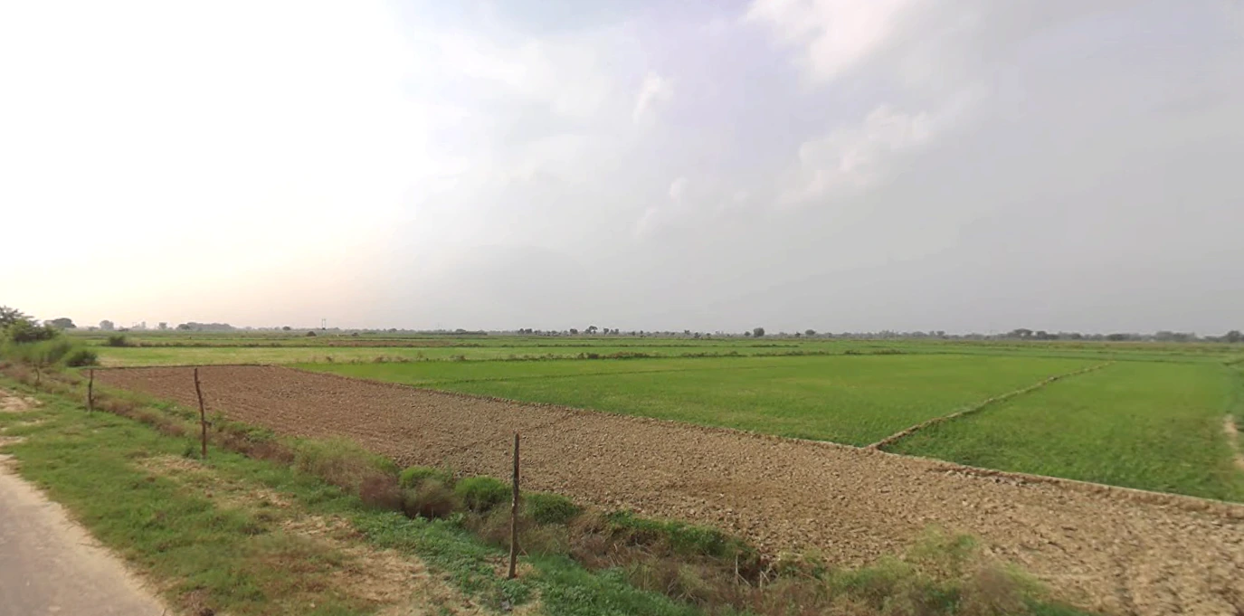 Suar, Uttar Pradesh 244924, India