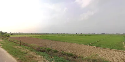 Suar, Uttar Pradesh 244924, India preview 2