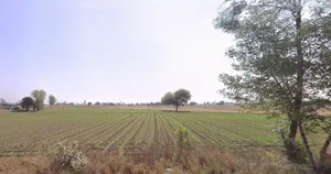 Makurgram, West Bengal 722176, India preview 2