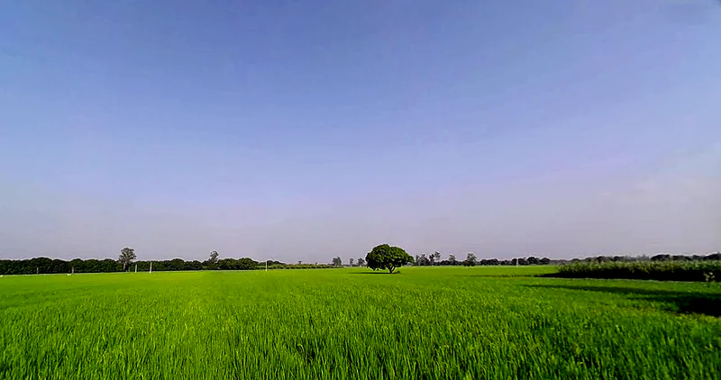 Rajpura, Punjab, India preview 2