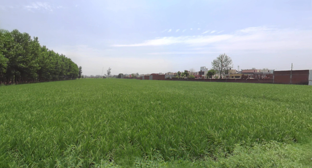 Dineshpur, Uttarakhand 263160, India