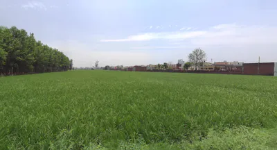 Dineshpur, Uttarakhand 263160, India preview 2