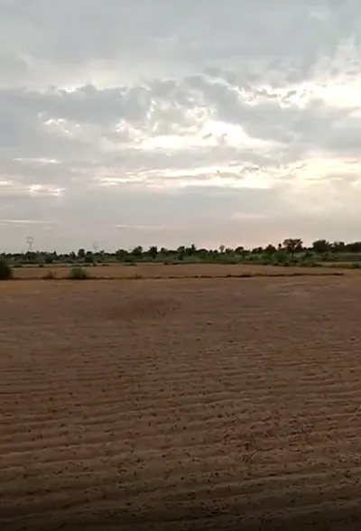 PQW7+M28, Ghasoli, Rajasthan 301405, India preview 2