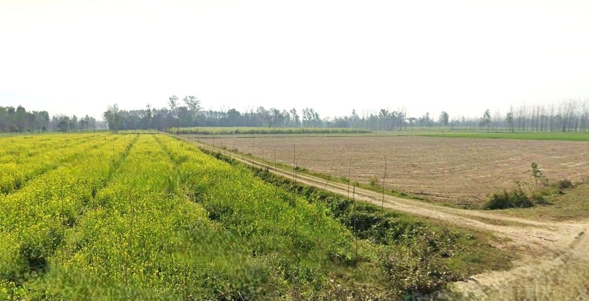 Milak Khanam, Uttar Pradesh 244921, India