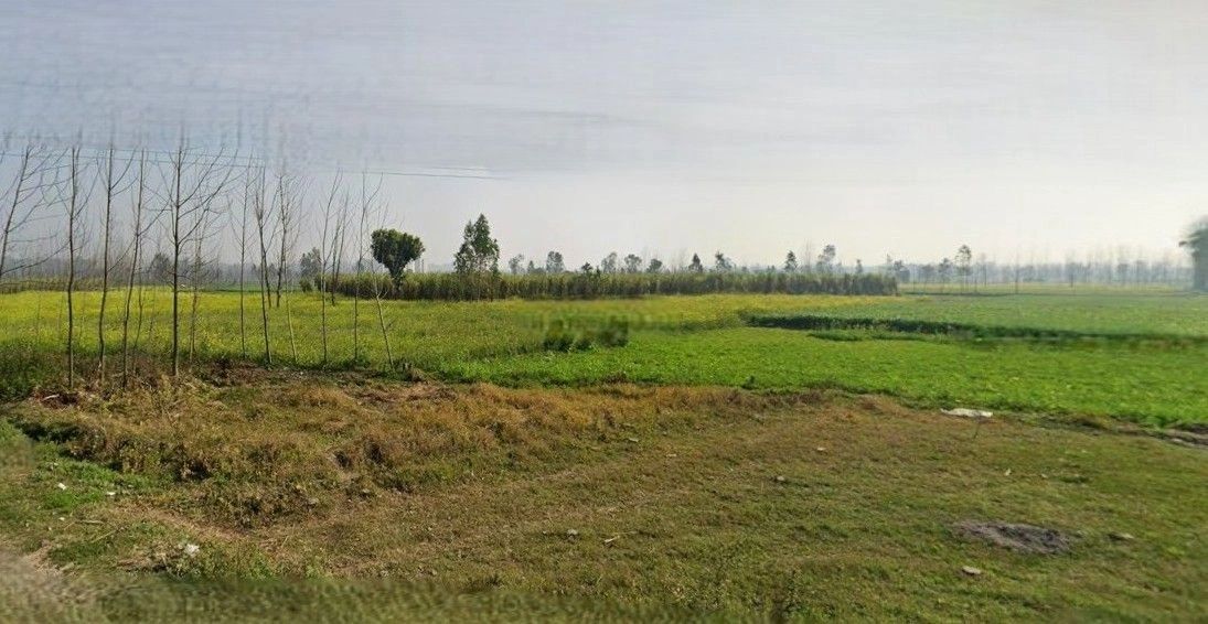 Suar, Uttar Pradesh 244924, India