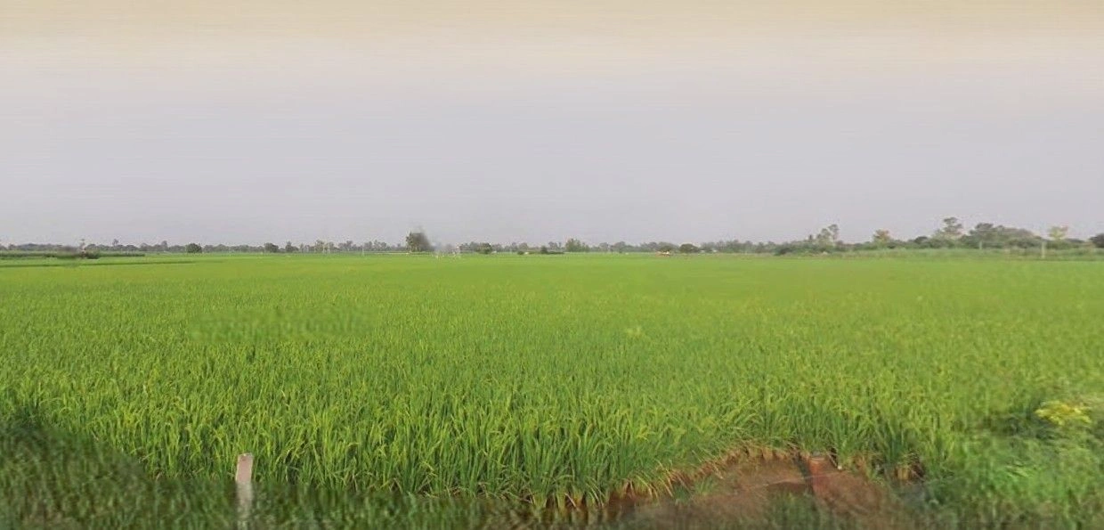 Hasanpur, Uttar Pradesh 244241, India