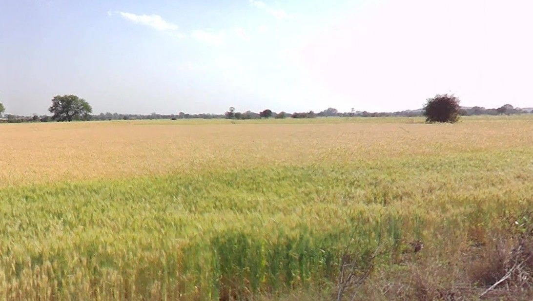 Pithampur Industrial Area, Pithampur, Madhya Pradesh, India