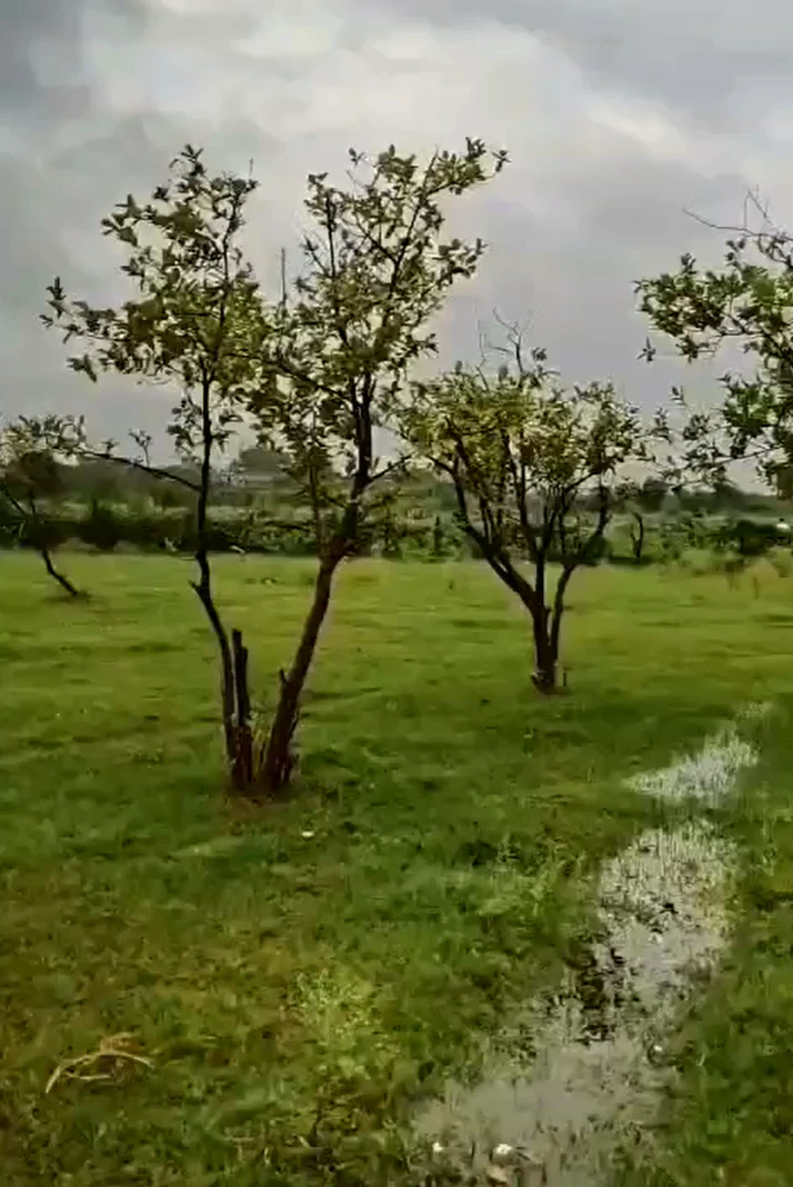 G889+QJ Khyora Katari, Kanpur Nagar, Uttar Pradesh, India