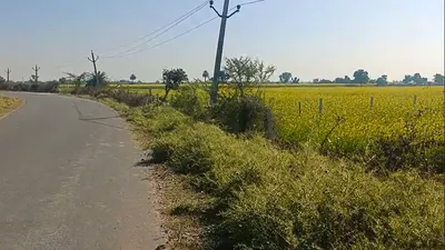 4HHC+87 Lamba Kalan, Rajasthan, India preview 3