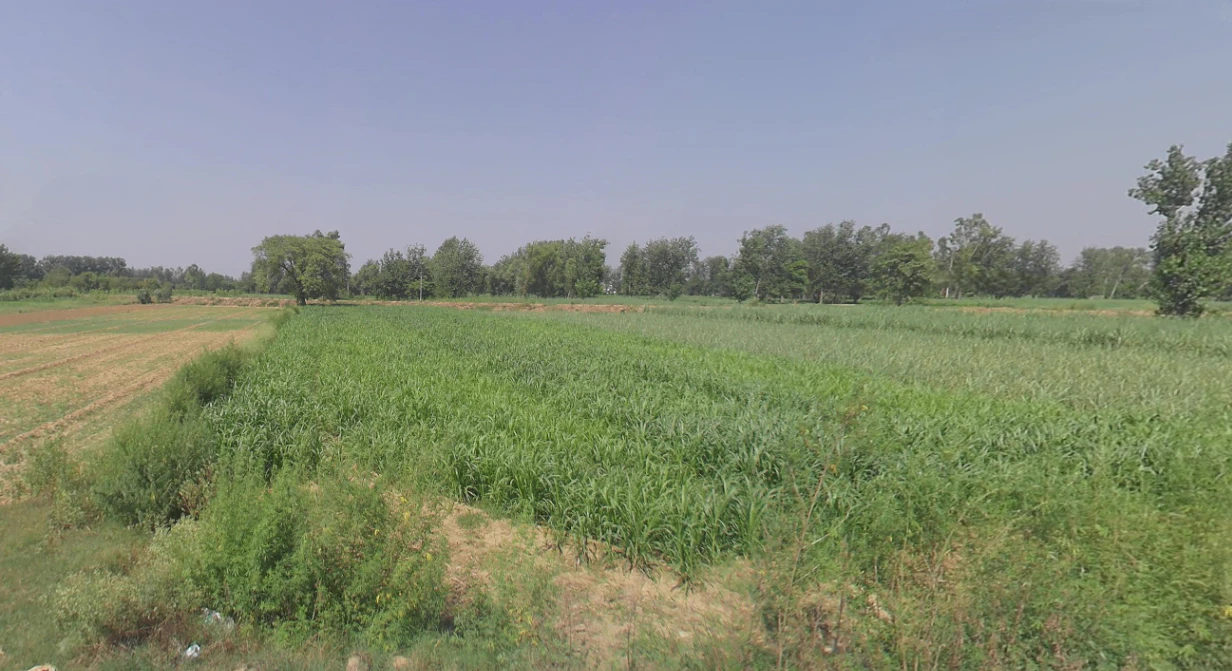Moradabad, Uttar Pradesh, India