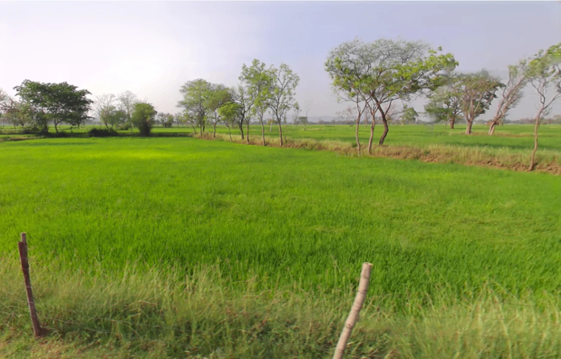 Matiya, Chhattisgarh 491225, India