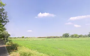 Sector 2 Rd, Housing Board Colony, Palwal, Haryana 121102, India preview 2