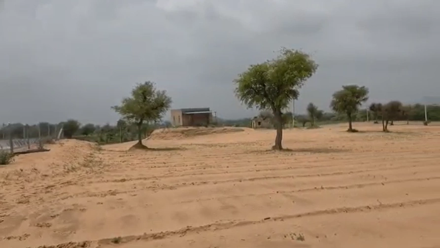 755Q+629, Sikar, Danta Ramgarh, Rajasthan 332703, India