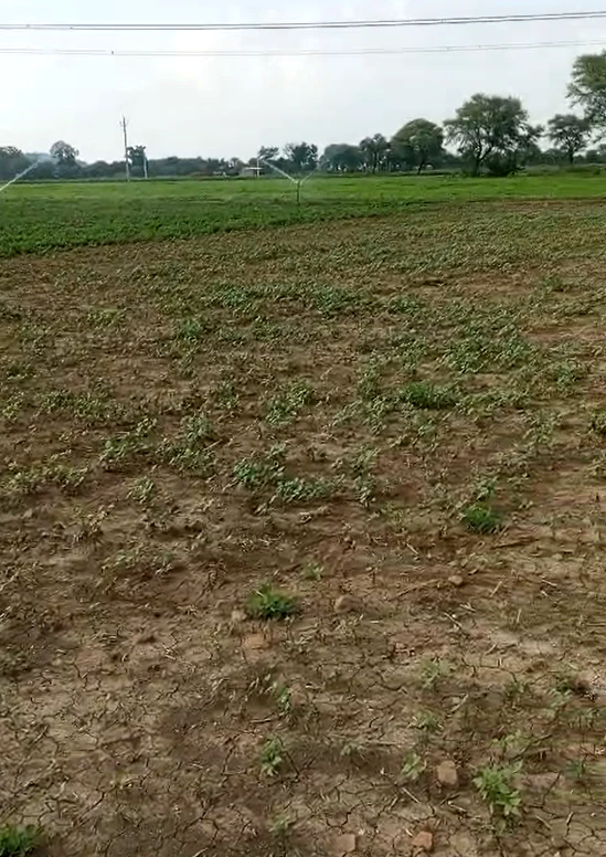 Ganj Tiraha, Chhatarpur, Bada Malhera, Madhya Pradesh 471311, India