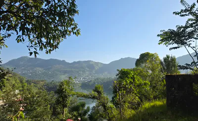 Silotia Rd, Naukuchia, Tal Rd, Siloti Pant, Uttarakhand 263136, India preview 3